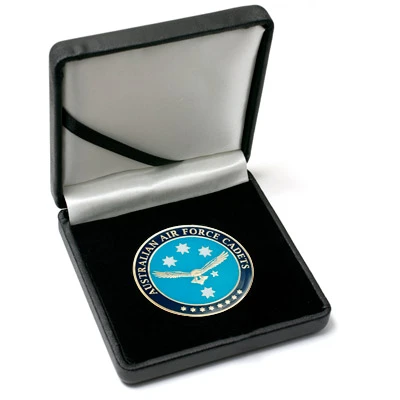 AAFC Medallion In Case